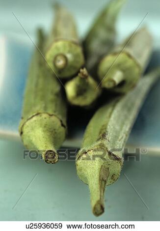 Stock Photo - Okra pods (Hibiscus esculentus). Fotosearch
