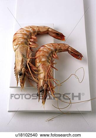 Shrimps View Large Photo Image Stock Image - Shrimps. Fotosearch