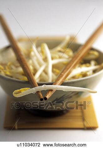 Stock Image - Soy shoots. Fotosearch