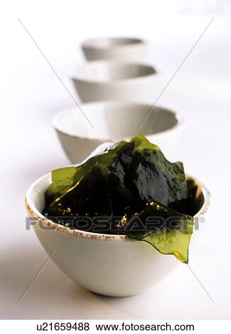 White bowl with alga View Large Photo Image Stock Photo - White bowl with alga. Fotosearch