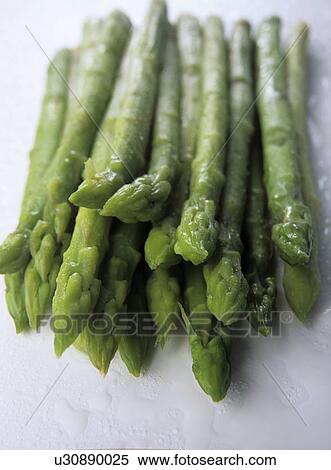 Asparagus View Large Photo Image Stock Photography - Asparagus. Fotosearch