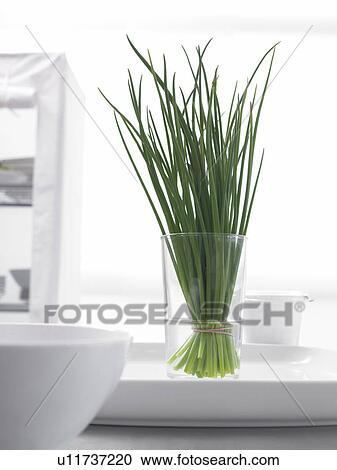 Stock Image - Chives. Fotosearch