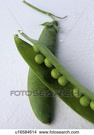 Peas View Large Photo Image Picture - Peas. Fotosearch