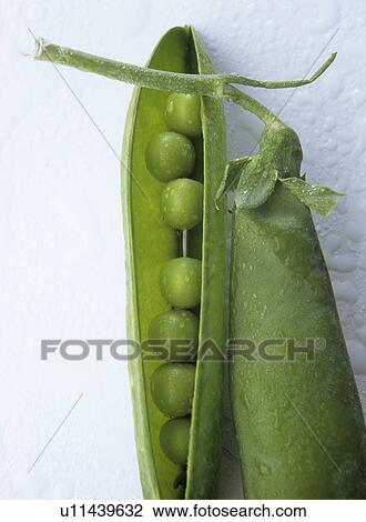 Peas View Large Photo Image Stock Image - Peas. Fotosearch