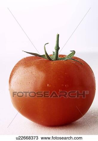 Stock Image - Tomato. Fotosearch