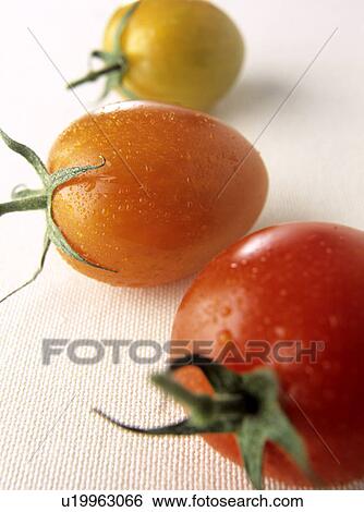 Tomatoes (close-up) View Large Photo Image Stock Photograph - Tomatoes (close-up). Fotosearch