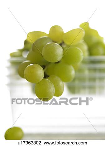 White wine grapes View Large Photo Image Stock Image - White wine grapes. Fotosearch