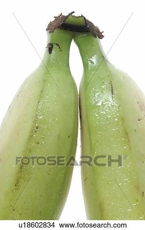 Picture - Banana. Fotosearch