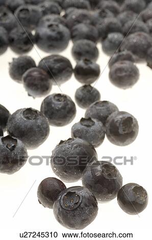 Stock Image - Billberry. Fotosearch