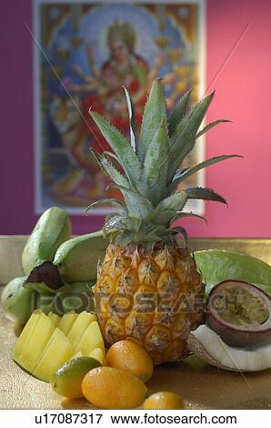 Fruits View Large Photo Image Stock Photo - Fruits. Fotosearch