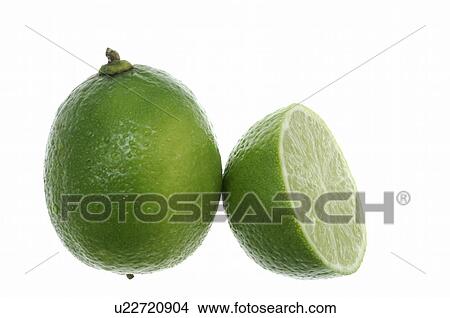 Limes View Large Photo Image Picture - Limes. Fotosearch
