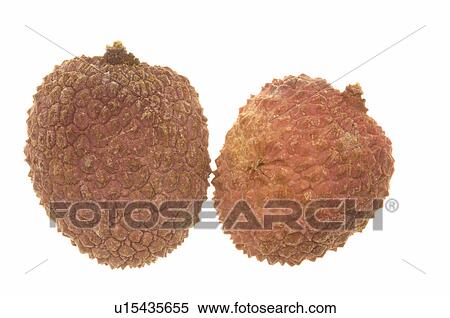 Stock Photography - Lychee. Fotosearch