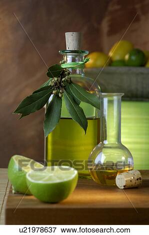Olive oil and limes View Large Photo Image Stock Photo - Olive oil and limes. Fotosearch