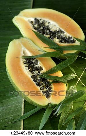 Papaya View Large Photo Image Stock Image - Papaya. Fotosearch