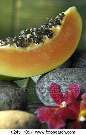Papaya View Large Photo Image Stock Photo - Papaya. Fotosearch