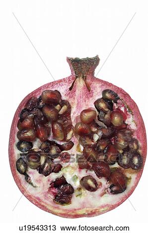 Pomegranate View Large Photo Image Stock Image - Pomegranate. Fotosearch