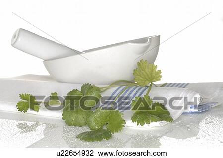 coriander and mortar with glass bowl View Large Photo Image Stock Image - coriander and mortar with glass bowl. Fotosearch