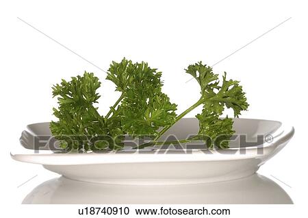 frizzy parsley in galss bowl View Large Photo Image Stock Image - frizzy parsley in galss bowl. Fotosearch