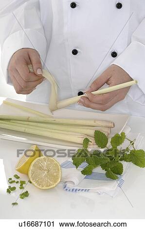 lemongrass and mint View Large Photo Image Stock Image - lemongrass and mint. Fotosearch