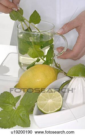 peppermint tea and lemons View Large Photo Image Stock Image - peppermint tea and lemons. Fotosearch