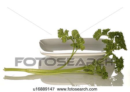 prizzy parsley with glass bowl View Large Photo Image Stock Photo - prizzy parsley with glass bowl. Fotosearch