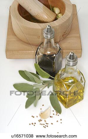 sage, vinegar and oil View Large Photo Image Stock Photo - sage, vinegar and oil. Fotosearch