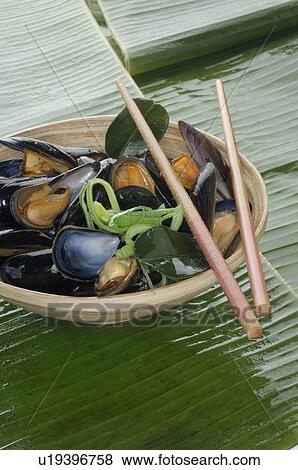 Blue mussel dish View Large Photo Image Stock Photo - Blue mussel dish. Fotosearch