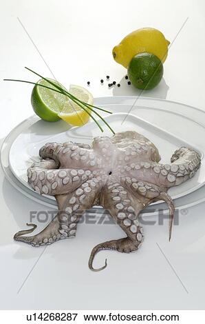 Calamari Raw Stock Photo U Fotosearch