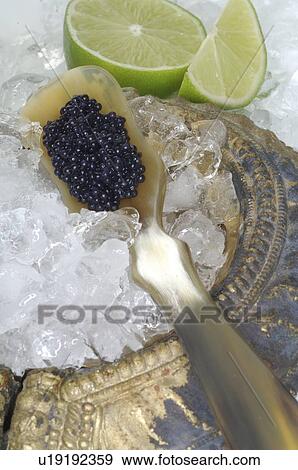 Stock Photo - Caviar. Fotosearch