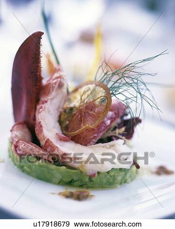 Stock Photo - Dish with lobster meat. Fotosearch
