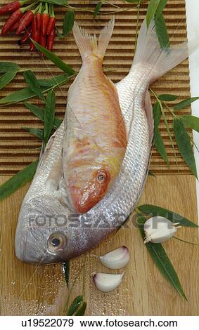 Gilt-head and Red/Striped mullet View Large Photo Image Stock Photo - Gilt-head and Red/Striped mullet. Fotosearch