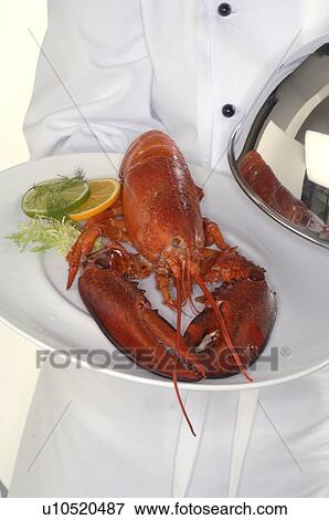 Lobster on a plate View Large Photo Image Stock Photo - Lobster on a plate. Fotosearch