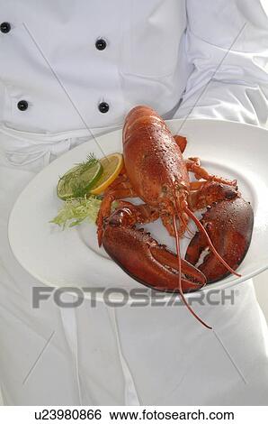 Lobster on a plate View Large Photo Image Stock Photograph - Lobster on a plate. Fotosearch