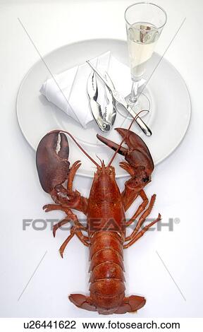 Stock Image - Lobster on a silver plate with a champagne glass, lobster cracker and fork. Fotosearch