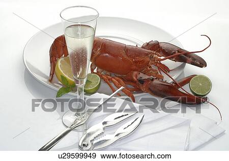 Stock Photo - Lobster on a silver plate with a champagne glass, lobster cracker and fork. Fotosearch