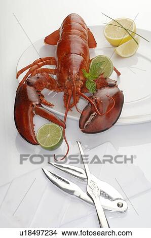 Lobster on a silver plate with lobster cracker and fork View Large Photo Image Picture - Lobster on a silver plate with lobster cracker and fork. Fotosearch