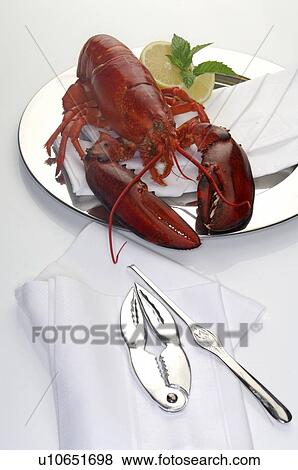 Stock Photo - Lobster on a silver plate with lobster cracker and fork. Fotosearch