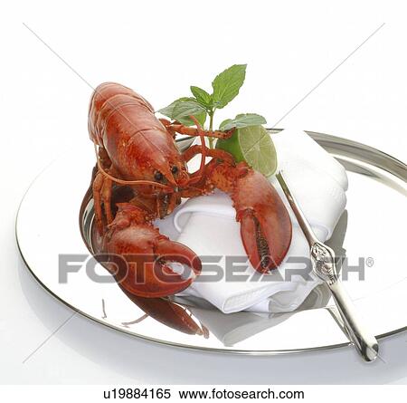 Stock Photography - Lobster. Fotosearch