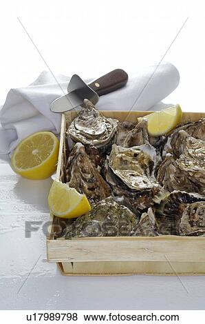 Oysters View Large Photo Image Stock Photo - Oysters. Fotosearch