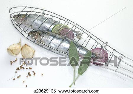 Stock Photography - Sardines grill. Fotosearch
