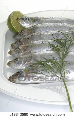 Stock Image - Sardines. Fotosearch