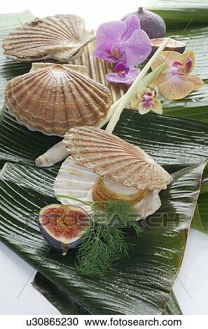 Stock Image - Scallops. Fotosearch