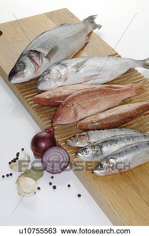 Stock Image - Several kinds of fish. Fotosearch