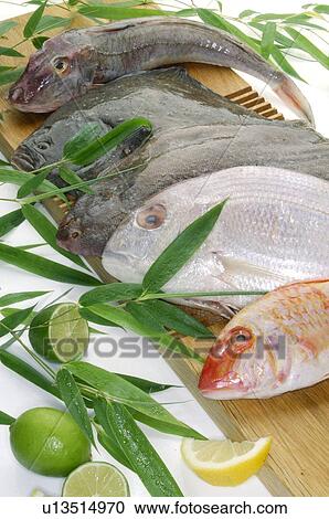 Several kinds of fish View Large Photo Image Stock Image - Several kinds of fish. Fotosearch