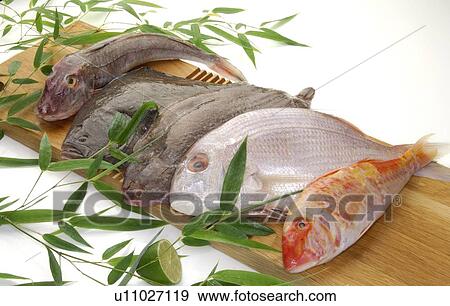 Several kinds of fish View Large Photo Image Stock Photo - Several kinds of fish. Fotosearch
