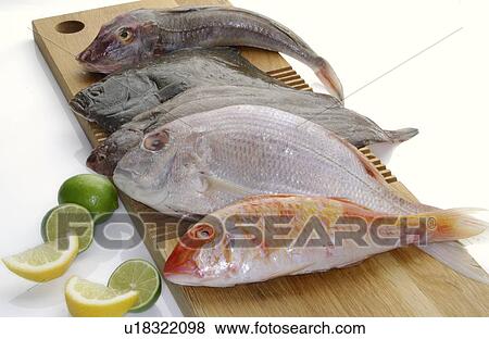 Several kinds of fish View Large Photo Image Stock Photo - Several kinds of fish. Fotosearch