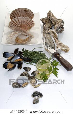 Stock Image - Several kinds of mussels. Fotosearch