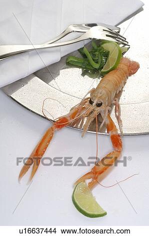 Picture - Shrimp. Fotosearch