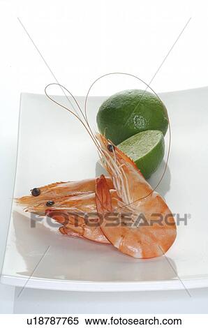 Stock Photography - Shrimps. Fotosearch