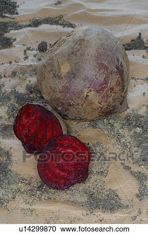 Stock Image - Beetroot. Fotosearch